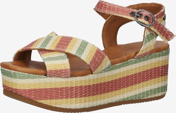 SHABBIES AMSTERDAM Sandals in Mixed colors: front