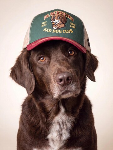 Blackskies Cap 'Trucker Cap' in Green