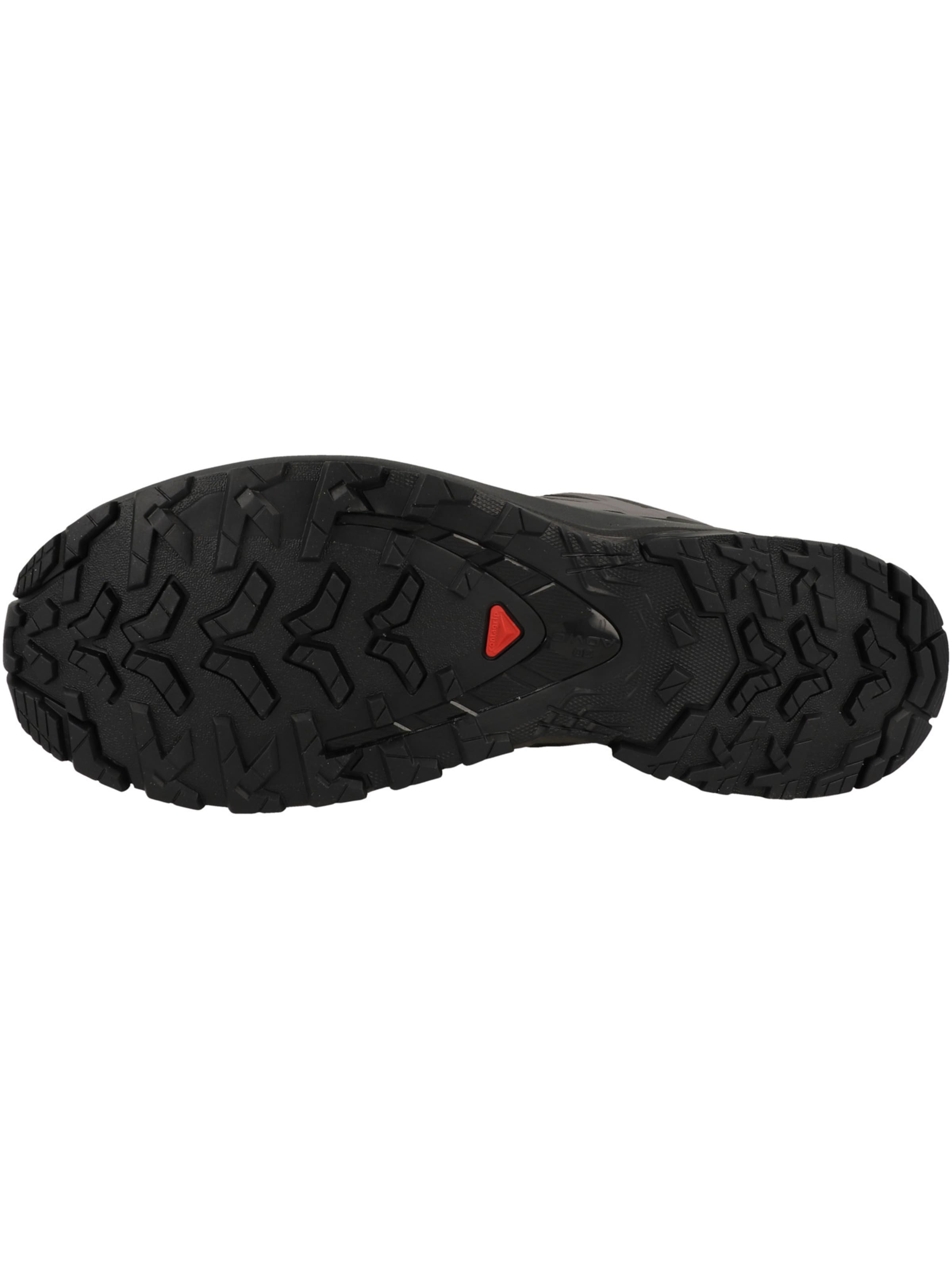 Chaussure de course 'XA Pro 3D V9' SALOMON en gris