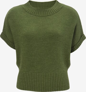 H.Moser Sweater in Green: front