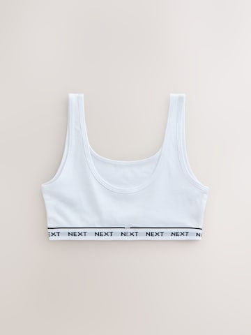 Next Top | siva barva