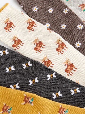 Chaussettes Next en mélange de couleurs