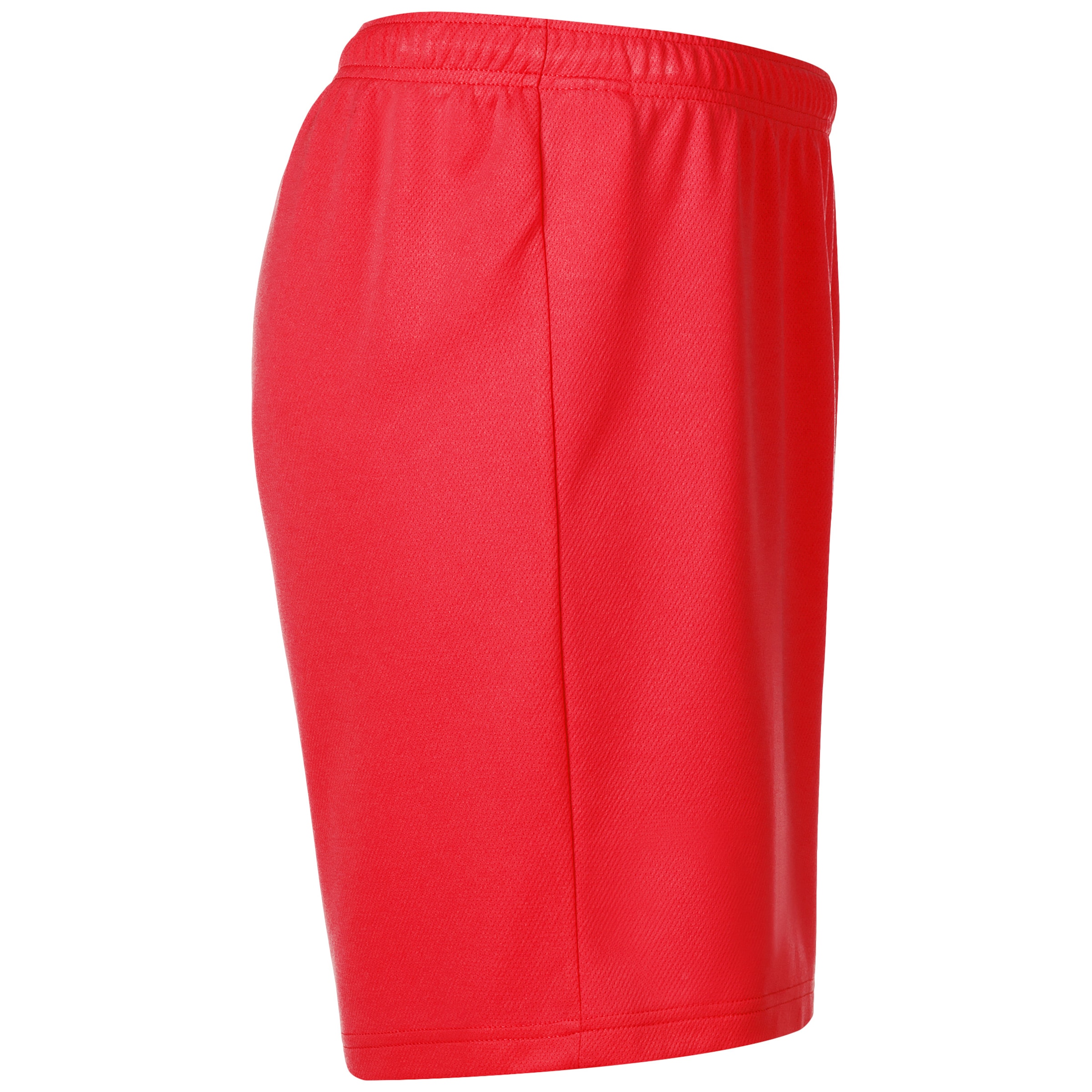 PUMA Regular Sportbroek 'TeamRise' in Rood