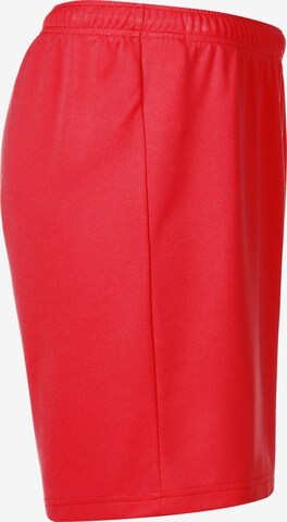 PUMA Regular Sportbroek 'TeamRise' in Rood