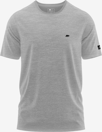 FORSBERG T-Shirt in Grau: Vorderseite