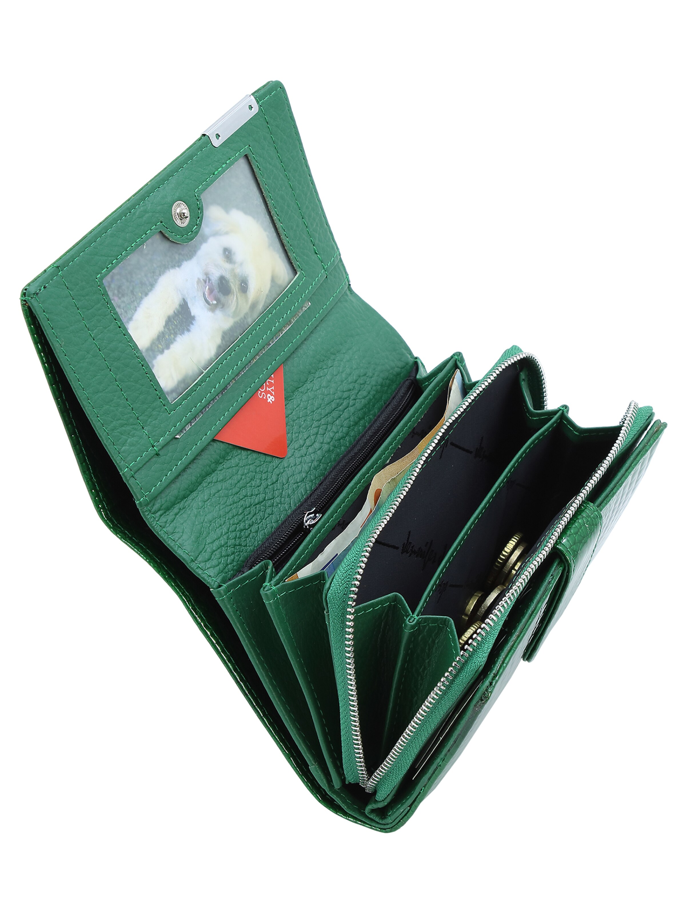Jennifer Jones Wallet in Green