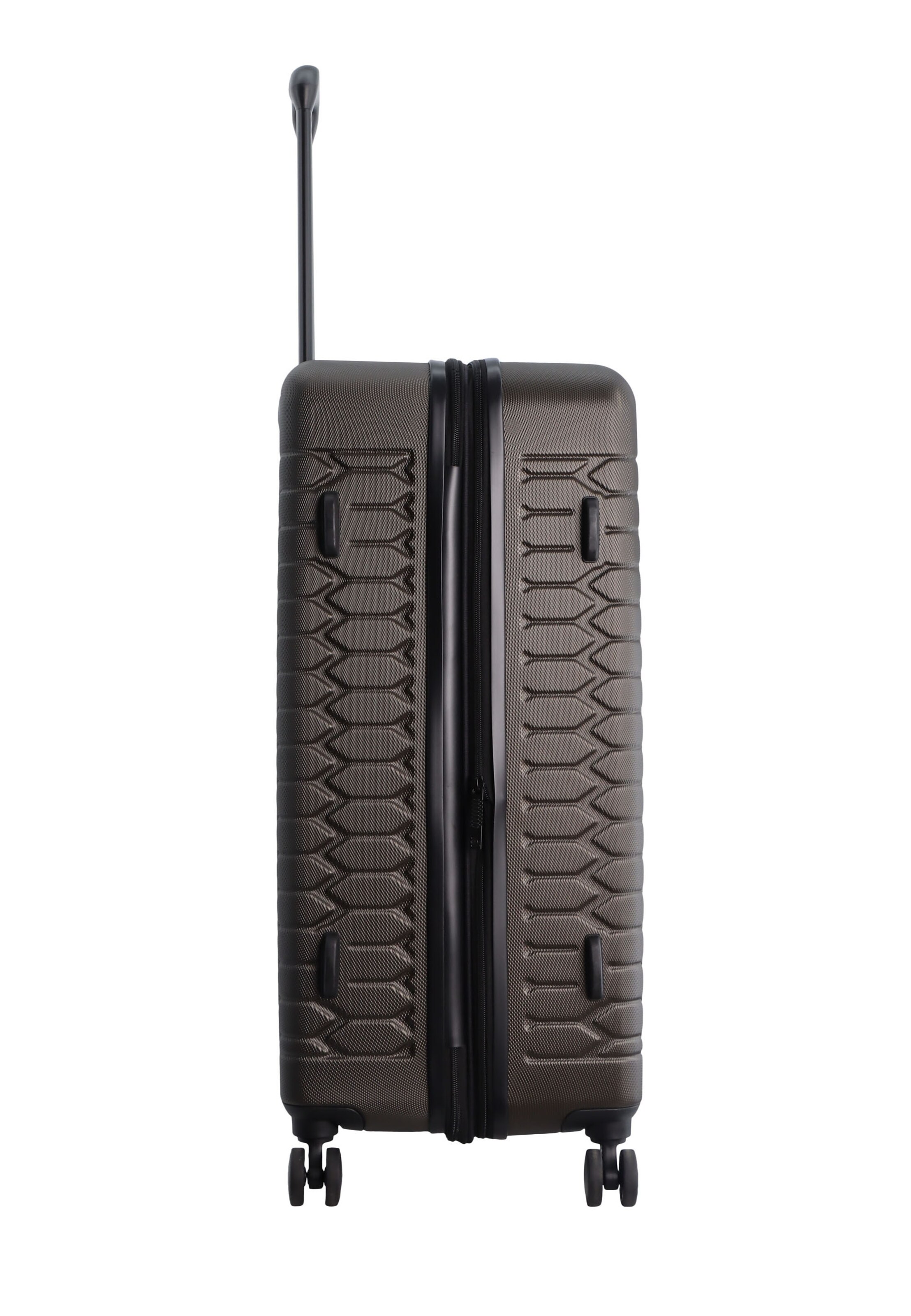 Discovery Suitcase Set 'REPTILE' in Brown