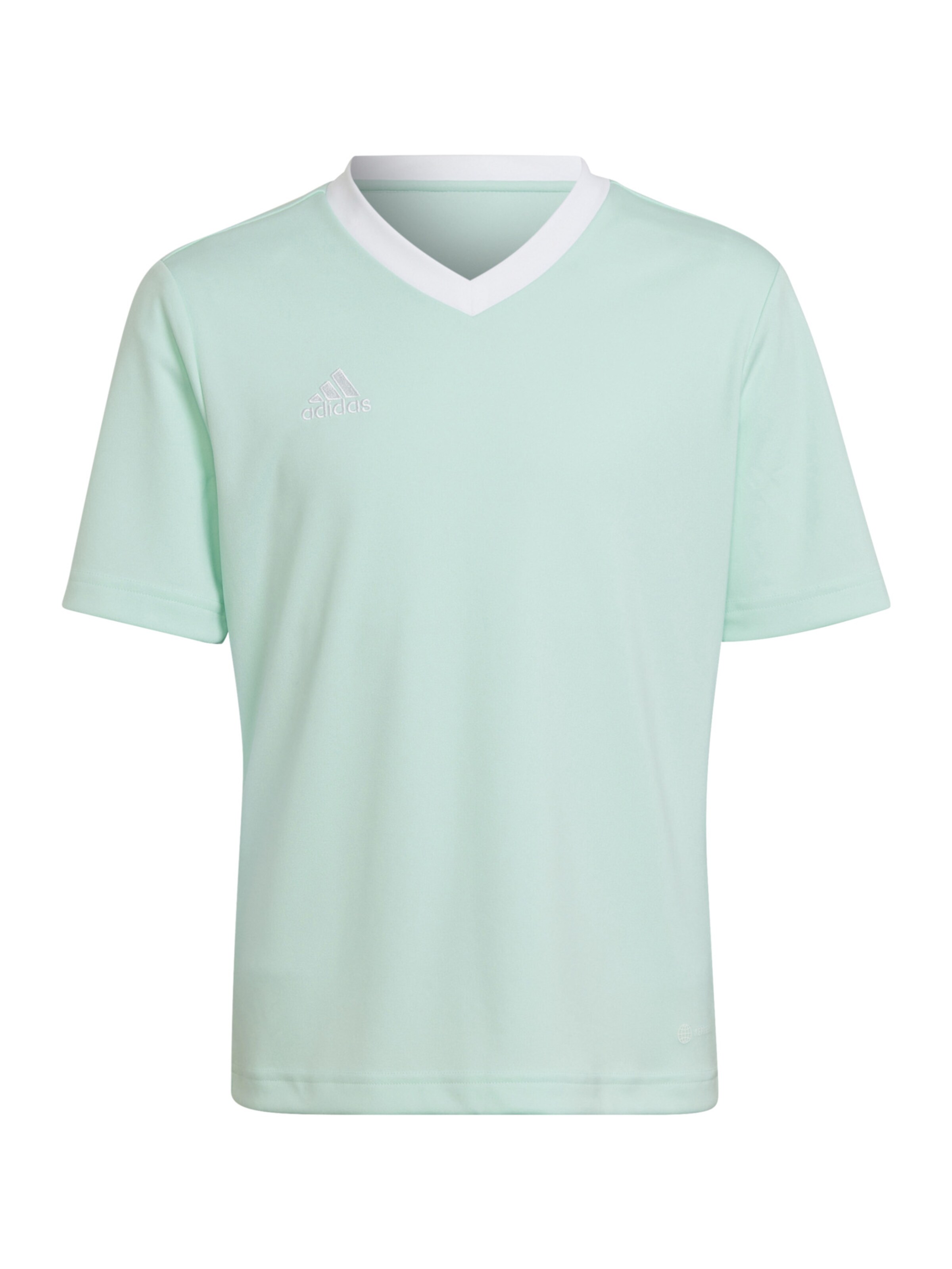 ADIDAS PERFORMANCE Performance Shirt 'Entrada 22' in Green: front