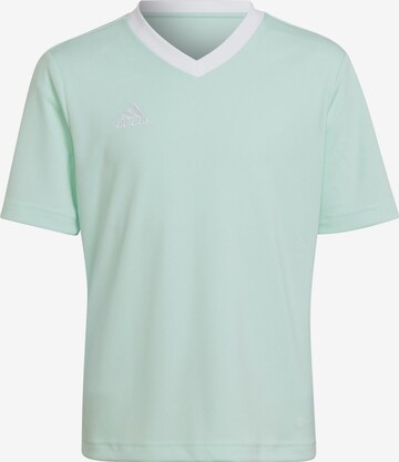 ADIDAS PERFORMANCE Sportshirt 'Entrada 22' in Grün: predná strana