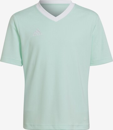 ADIDAS PERFORMANCE Performance Shirt 'Entrada 22' in Green: front