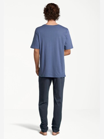 SCHIESSER Pyjama kort 'Night & Home' in Blauw