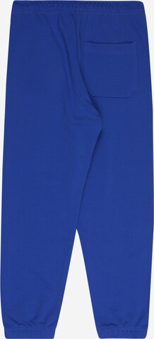 DIESEL Tapered Broek 'ALTONY' in Blauw