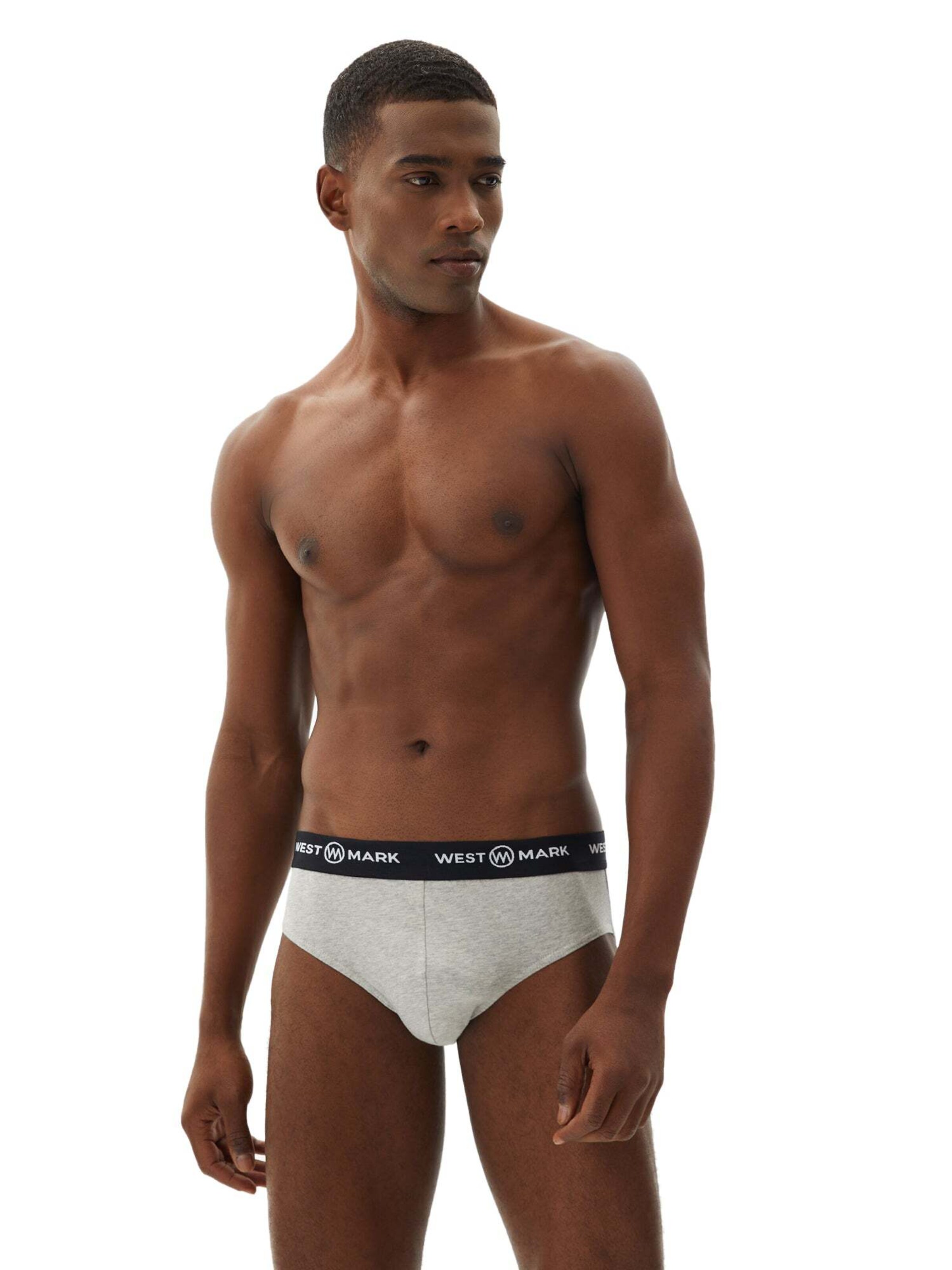 WESTMARK LONDON Slip 'Brief' i grå: forside