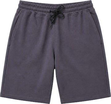 LOUIS LECLER Pants 'Otto' in Grey: front