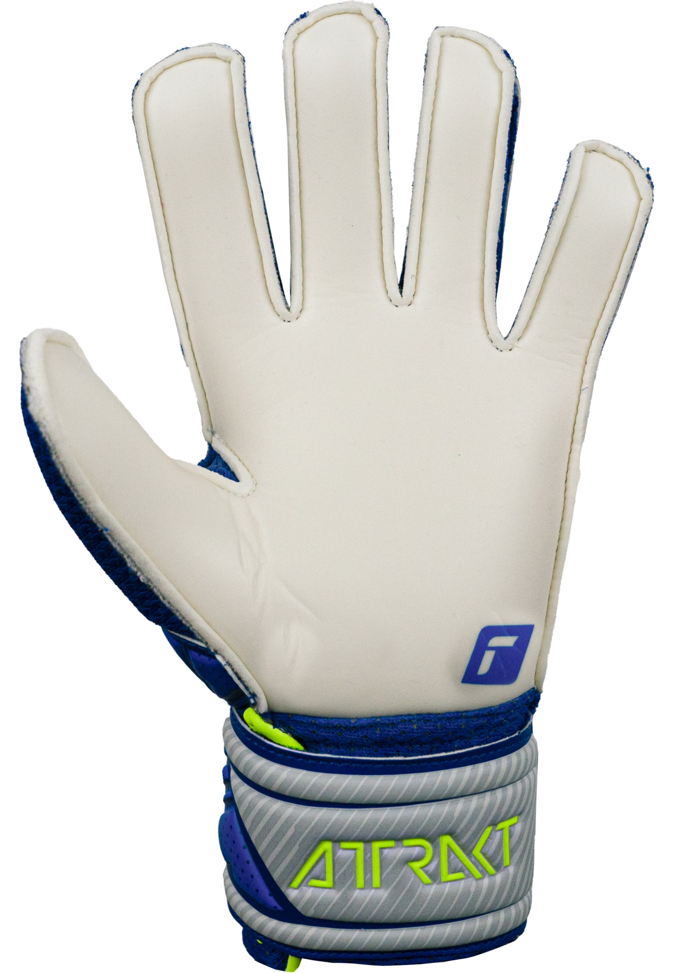 REUSCH Athletic Gloves 'Attrakt Solid Junior' in Blue