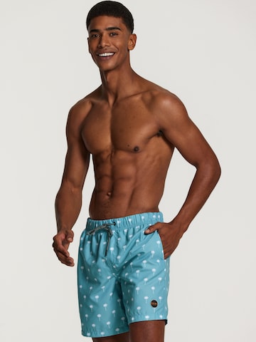 Shiwi Board Shorts in Blue