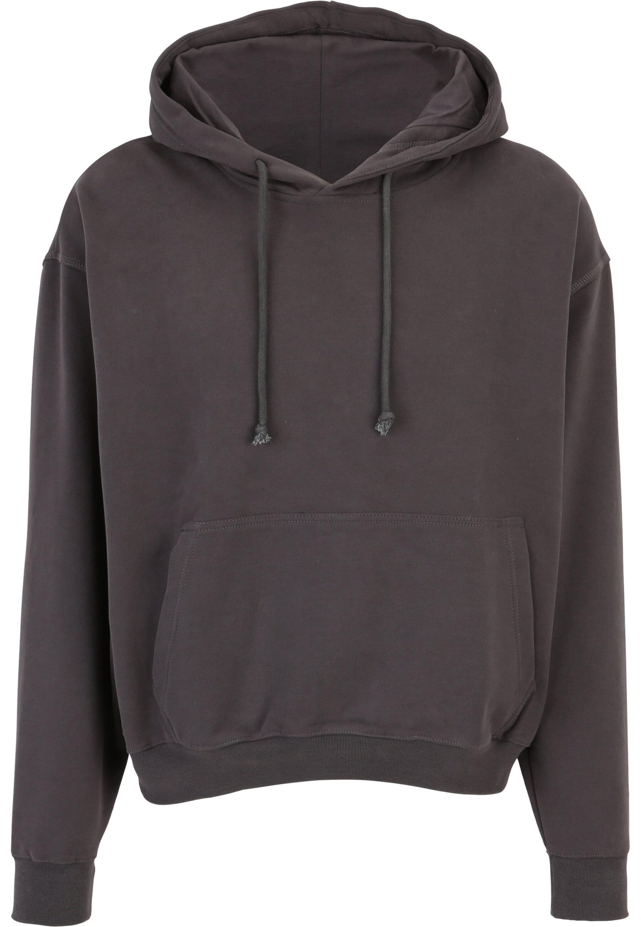 2Y Premium Sweatshirt in Grey: front