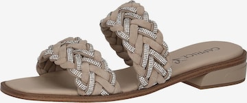 CAPRICE Muiltjes in Bruin: voorkant