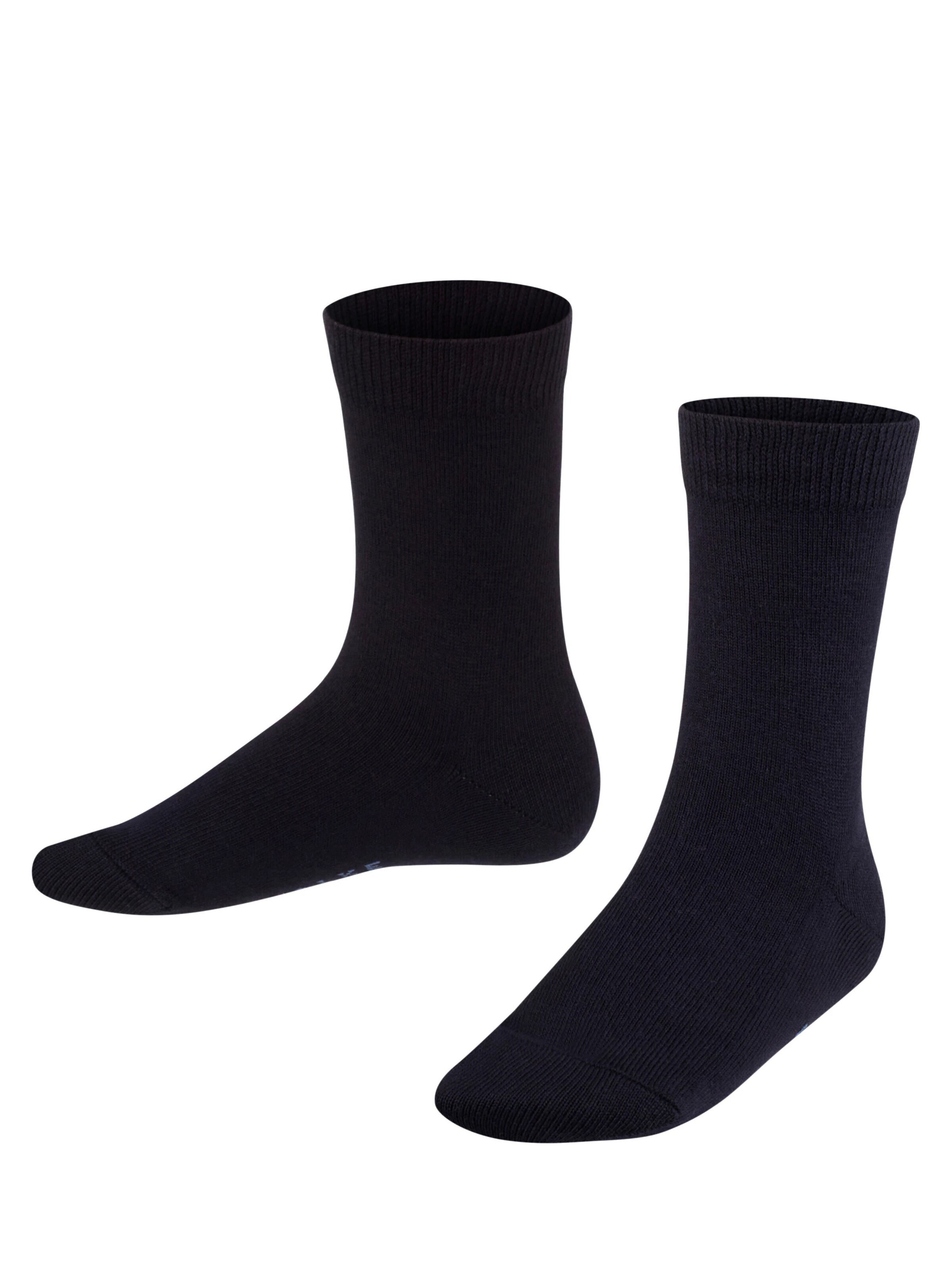 FALKE Socks 'Family' in Blue: front