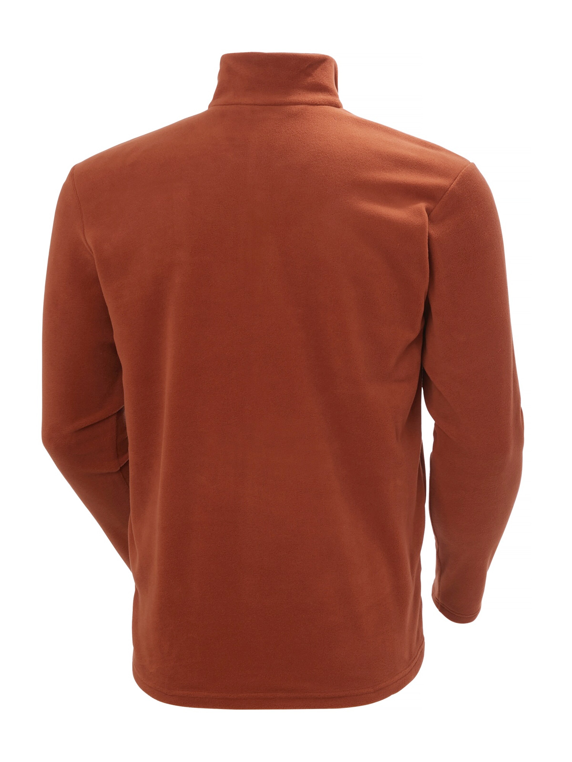 Veste en polaire fonctionnelle 'DAYBREAKER' HELLY HANSEN en marron