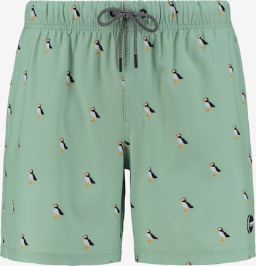 Shiwi Board Shorts 'puffin 4-way stretch' in Grün: predná strana