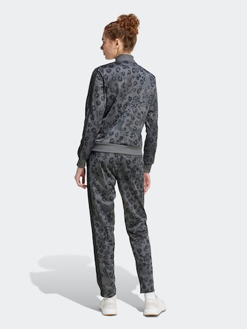 ADIDAS SPORTSWEAR Тренировочный костюм в Серый