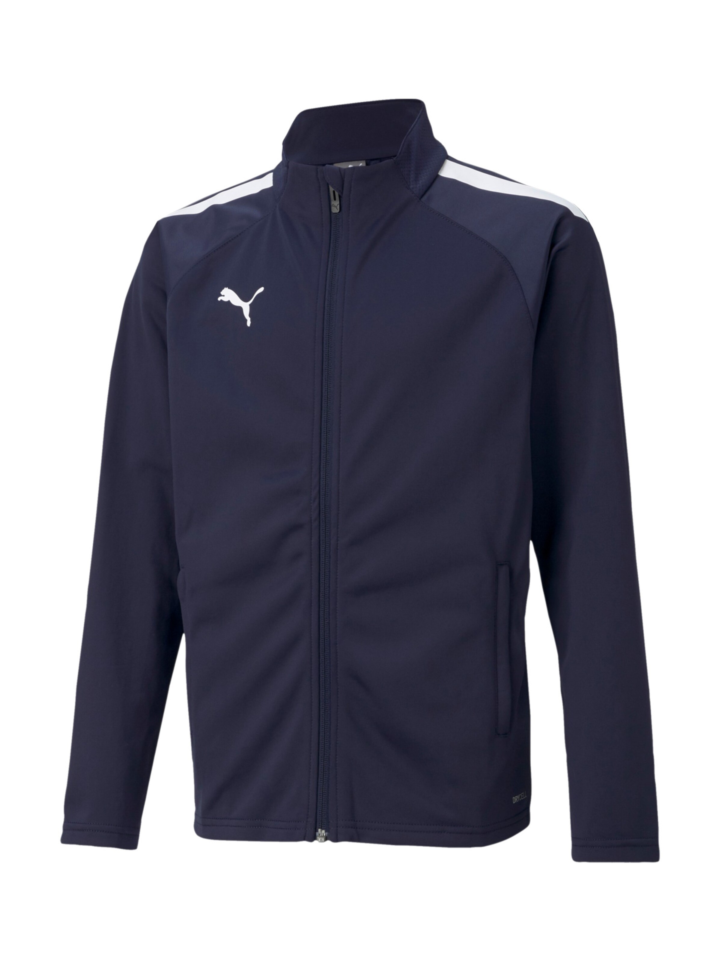 PUMA Athletic Jacket 'TeamLIGA' in Blue