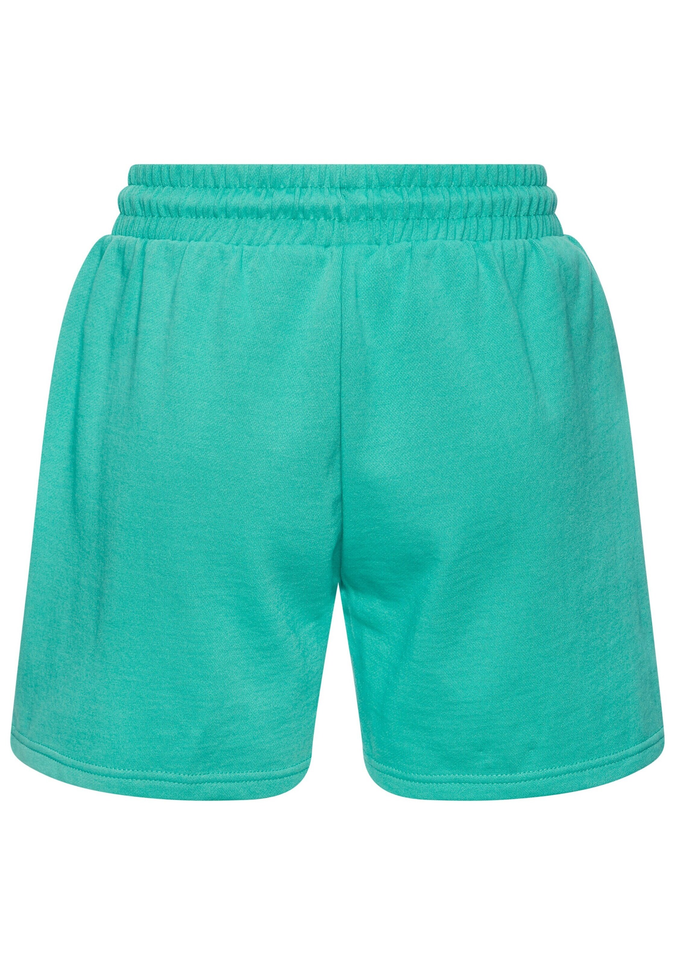 regular Pantaloni di BENCH in verde
