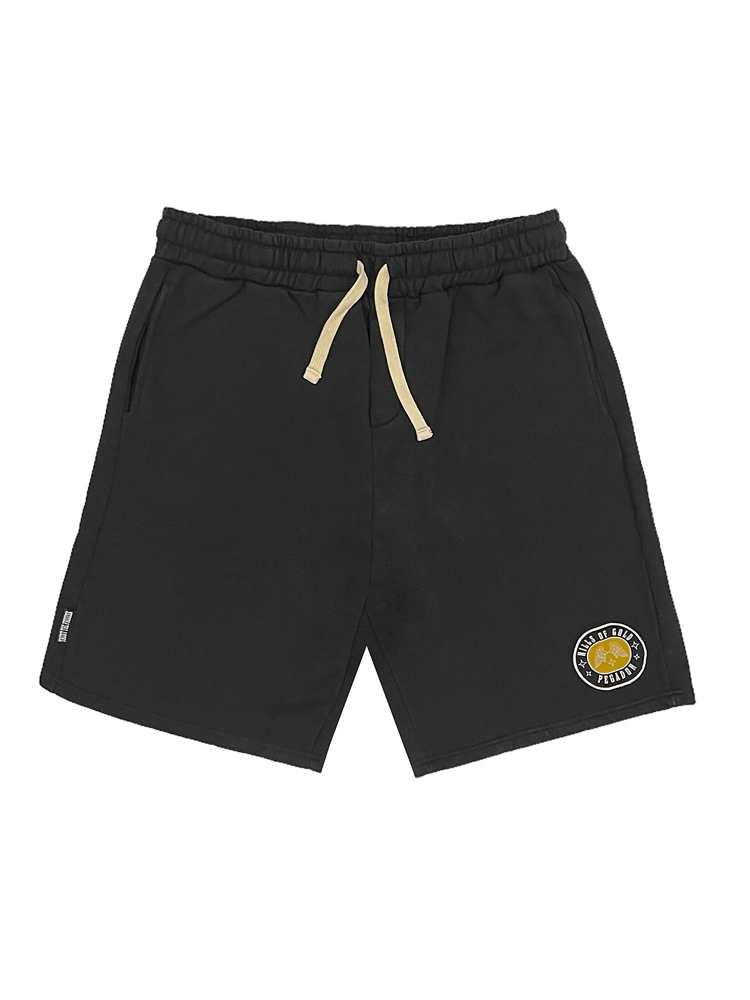 Pegador Regular Pants 'Algon' in Black: front