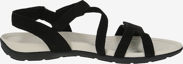 CAPRICE Strap Sandals in Black