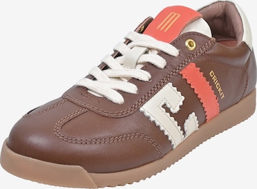 Crickit Sneaker ' ULTIMA ' in Braun: Vorderseite
