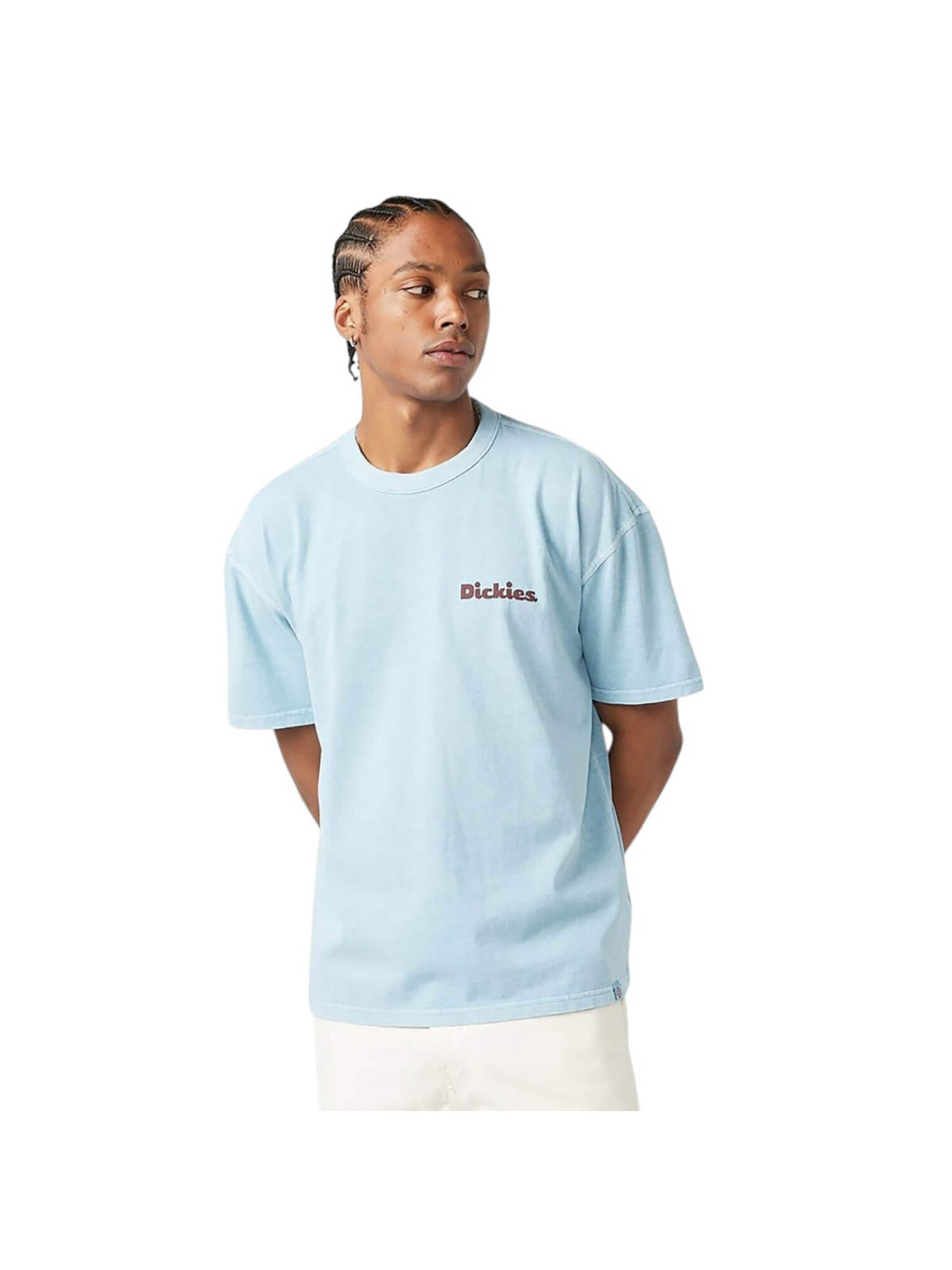 DICKIES Shirt 'Slayden Garment' in Blue: front