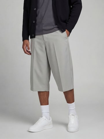 Wide Leg Pantalon à plis aprel en gris
