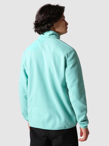 THE NORTH FACE Athletic Sweater 'Glacier' in Green
