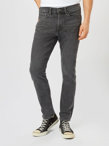 GAP Jeans in Grey: front