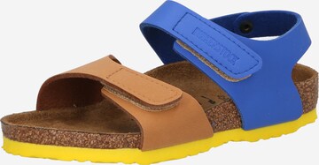 BIRKENSTOCK Nyitott cipők 'Palu' - barna: elől