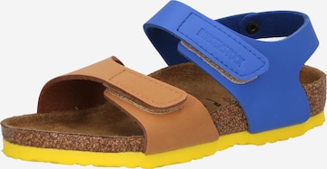 BIRKENSTOCK Sandals & Slippers 'Palu' in Brown: front
