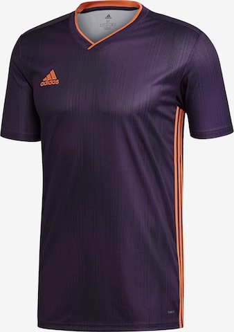 ADIDAS SPORTSWEAR Performance Shirt 'Tiro 19' in Purple: front