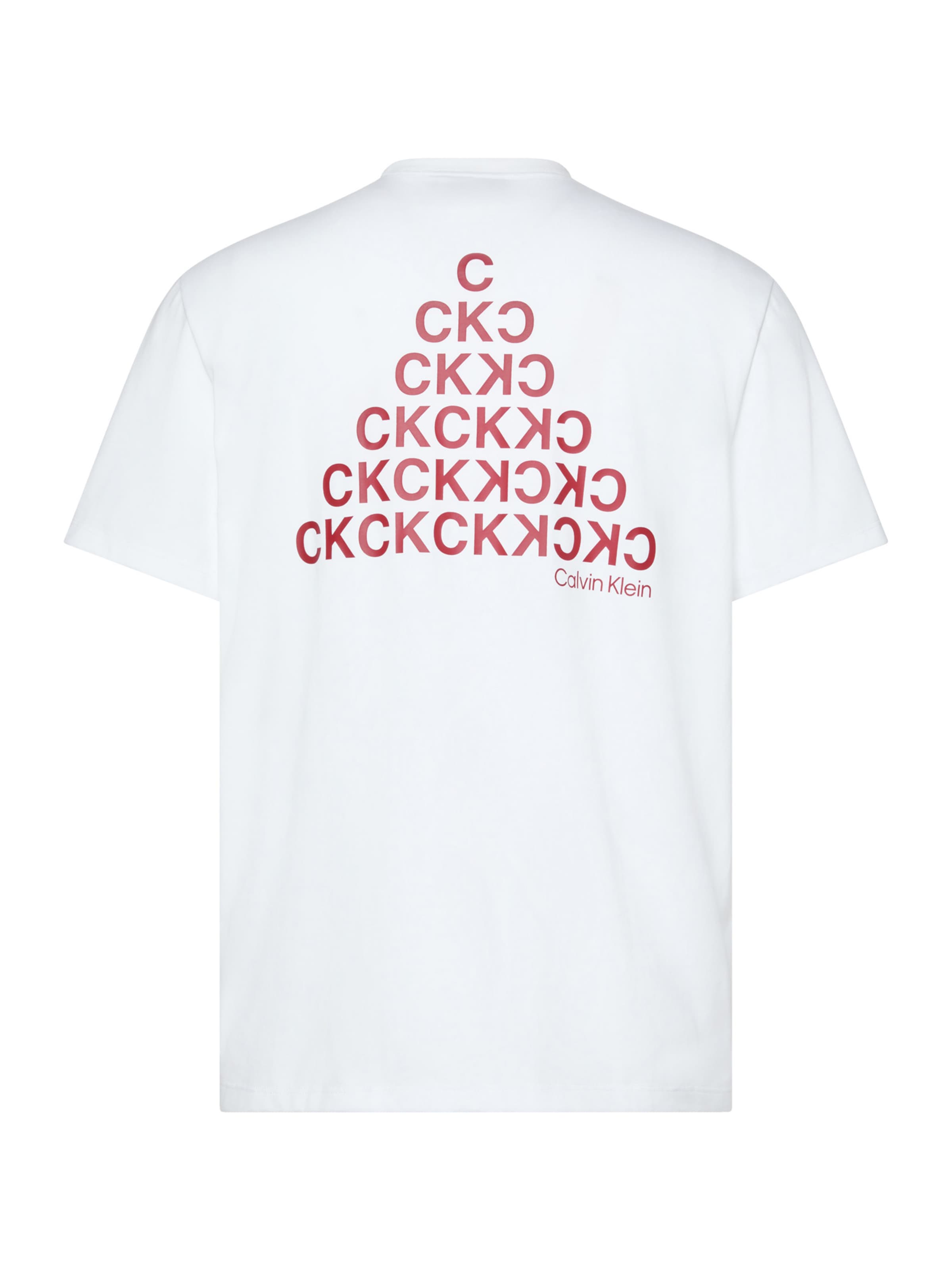 Calvin Klein Jeans T-Shirt in Weiß