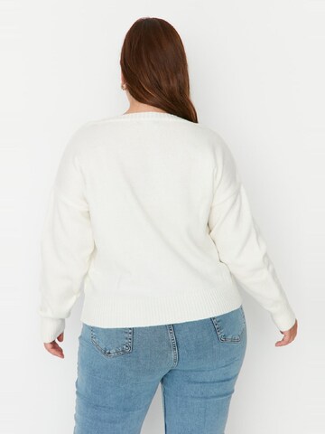 Trendyol Curve Pullover in Beige