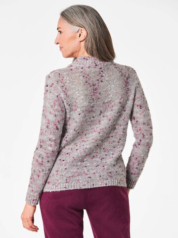 Goldner Sweater in Grey