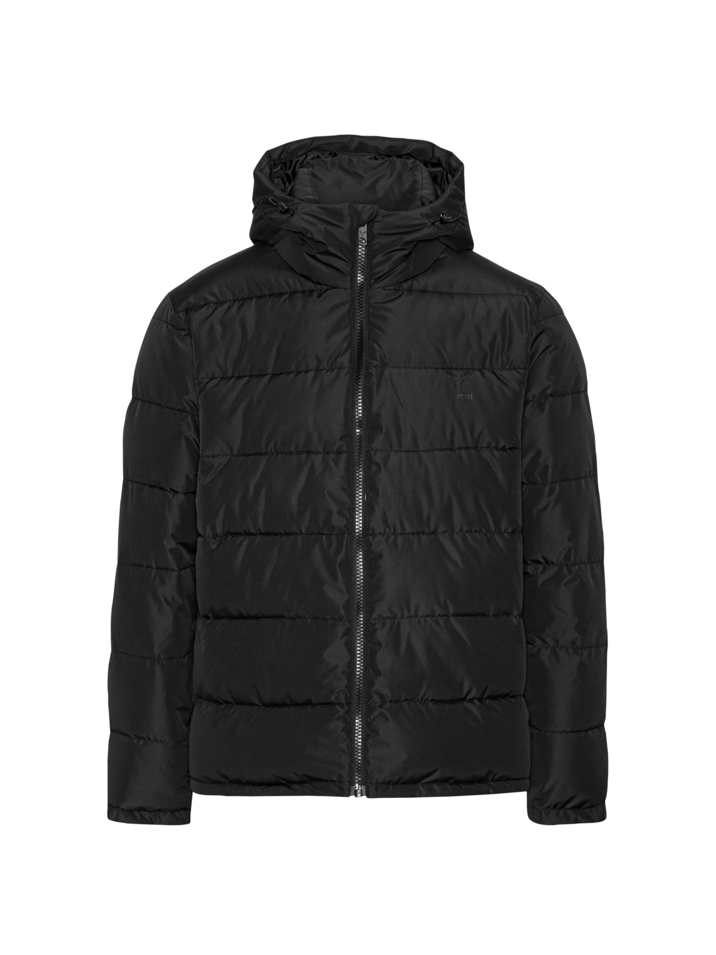 Fat Moose Winter jacket 'Liam' in Black: front