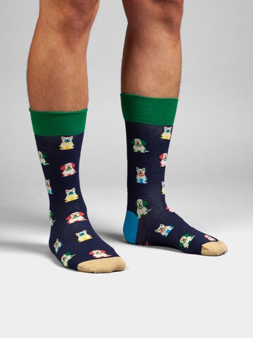 DillySocks Socken in Mischfarben: Vorderseite