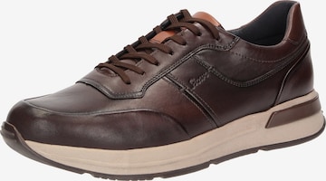 SIOUX Sneakers laag ' Rojaro-720 ' in Bruin: voorkant