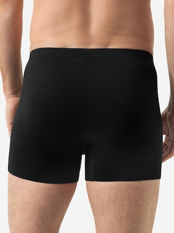 Mey Boxer shorts 'Softball' in Black