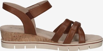 CAPRICE Sandalen met riem in Bruin