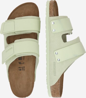 BIRKENSTOCK Чехли 'Uji' в зелено