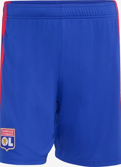 ADIDAS PERFORMANCE Calças de desporto 'Olympique Lyonnais 26/27' em XS/regular em azul real / amarelo / vermelho / branco, Vista do artigo
