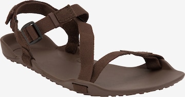 Xero Shoes Sandals 'Z-Trek' in Brown: front