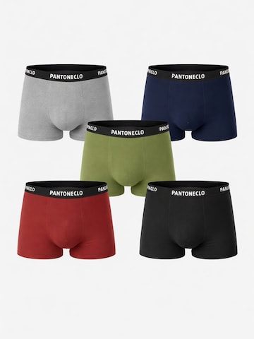 PANTONECLO Boksershorts 'Pantoneclo Men’s Boxer Underwear-10 Pcs Pack' i blandingsfarvet: forside